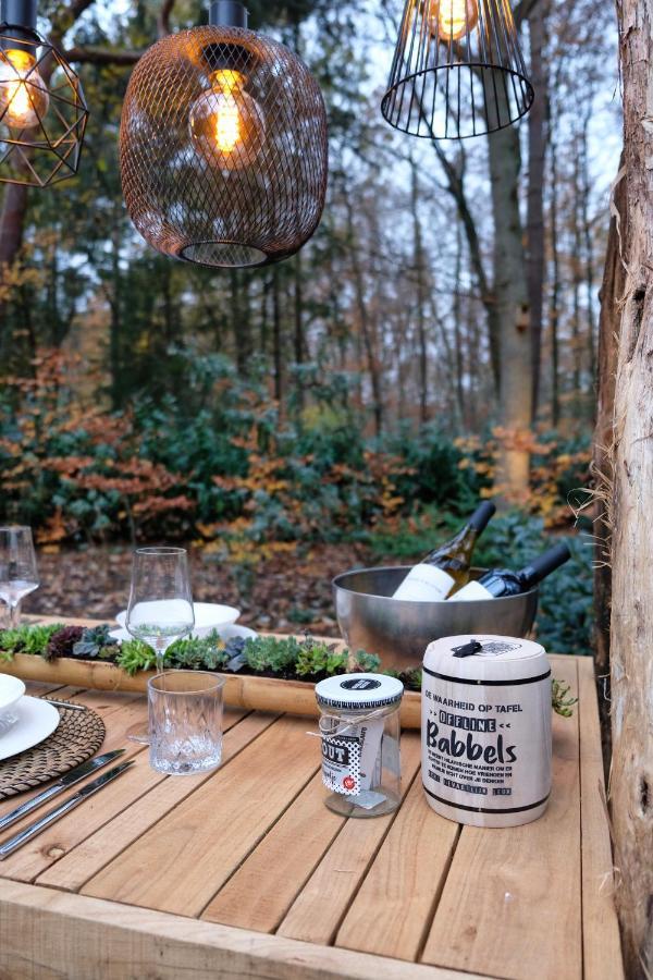 Lodge In Een Bosrijke Omgeving Met Hottub & Sauna Opt Rheezerveen Exterior photo